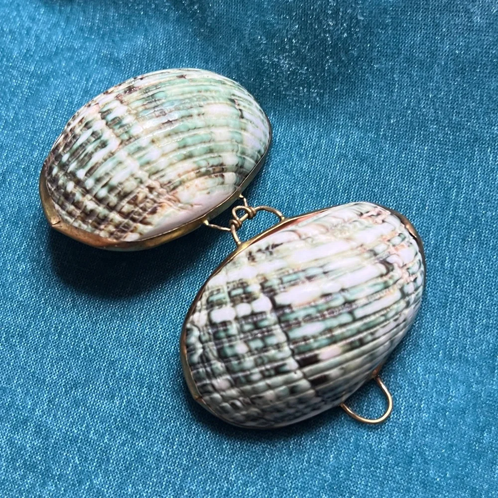 Sea Shell miniature Jewelry Box - Picture 3 of 5